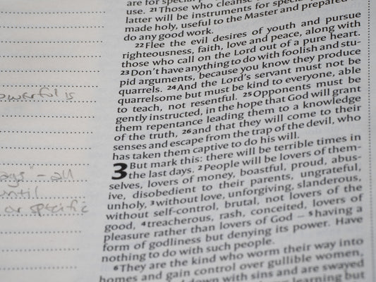 It is a bible passage about the last days.