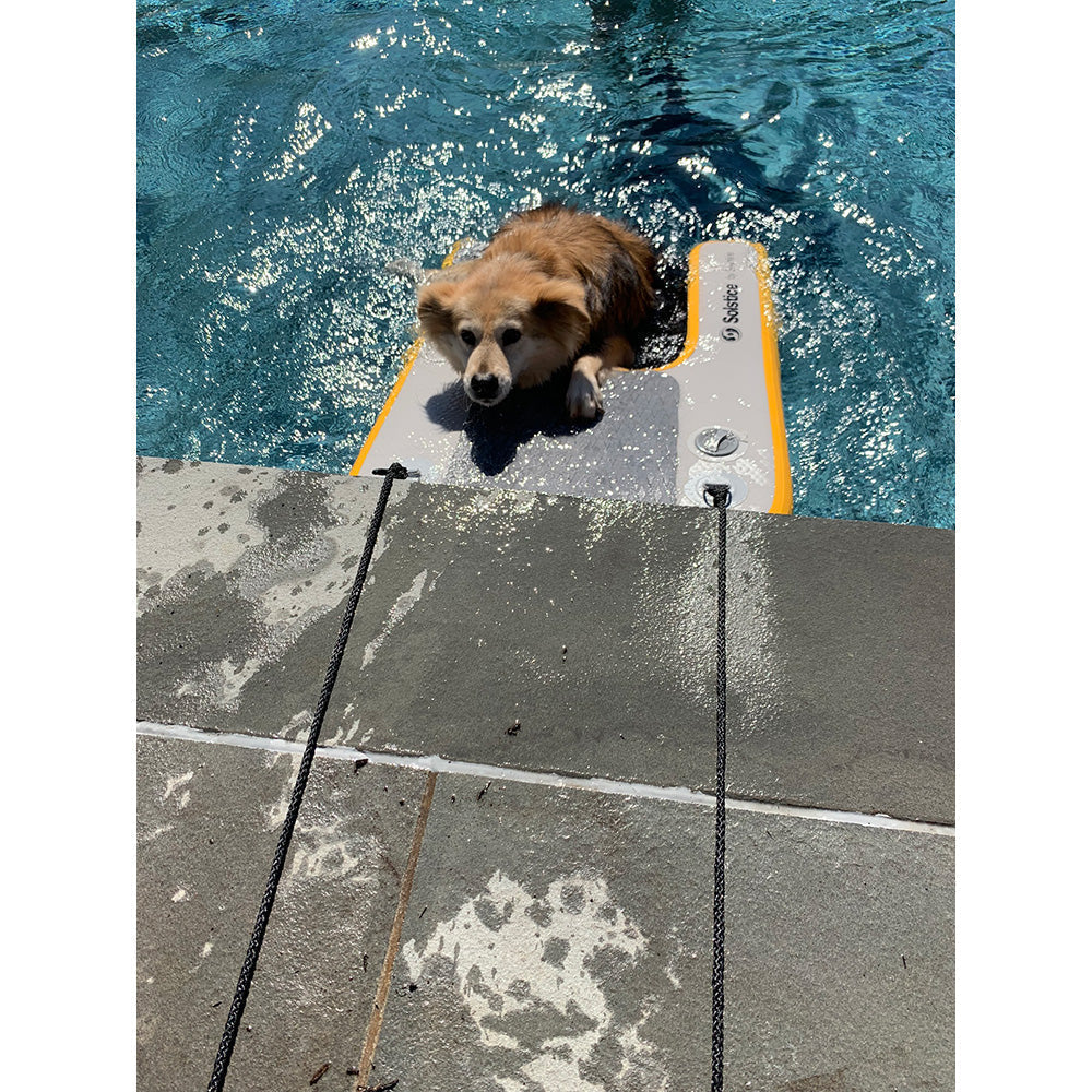 Solstice Watersports Inflatable PupPlank Dog Ramp - Mini [33424] - Premium Pet Accessories  Shop now 