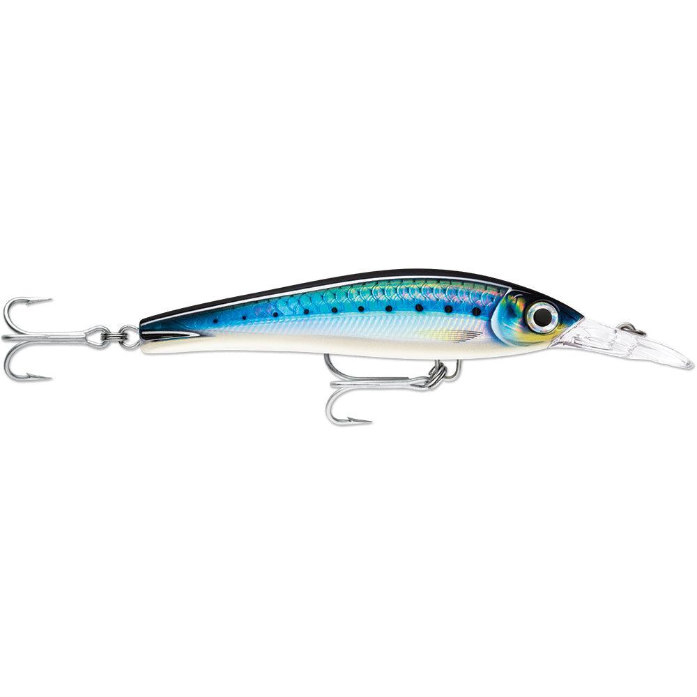 Rapala X-Rap Magnum Xtreme 6-1/4" HD Blue Sardine [XRMAGXT160HDBSRD] - Premium Hard & Soft Baits Besafe1st®  Shop now 