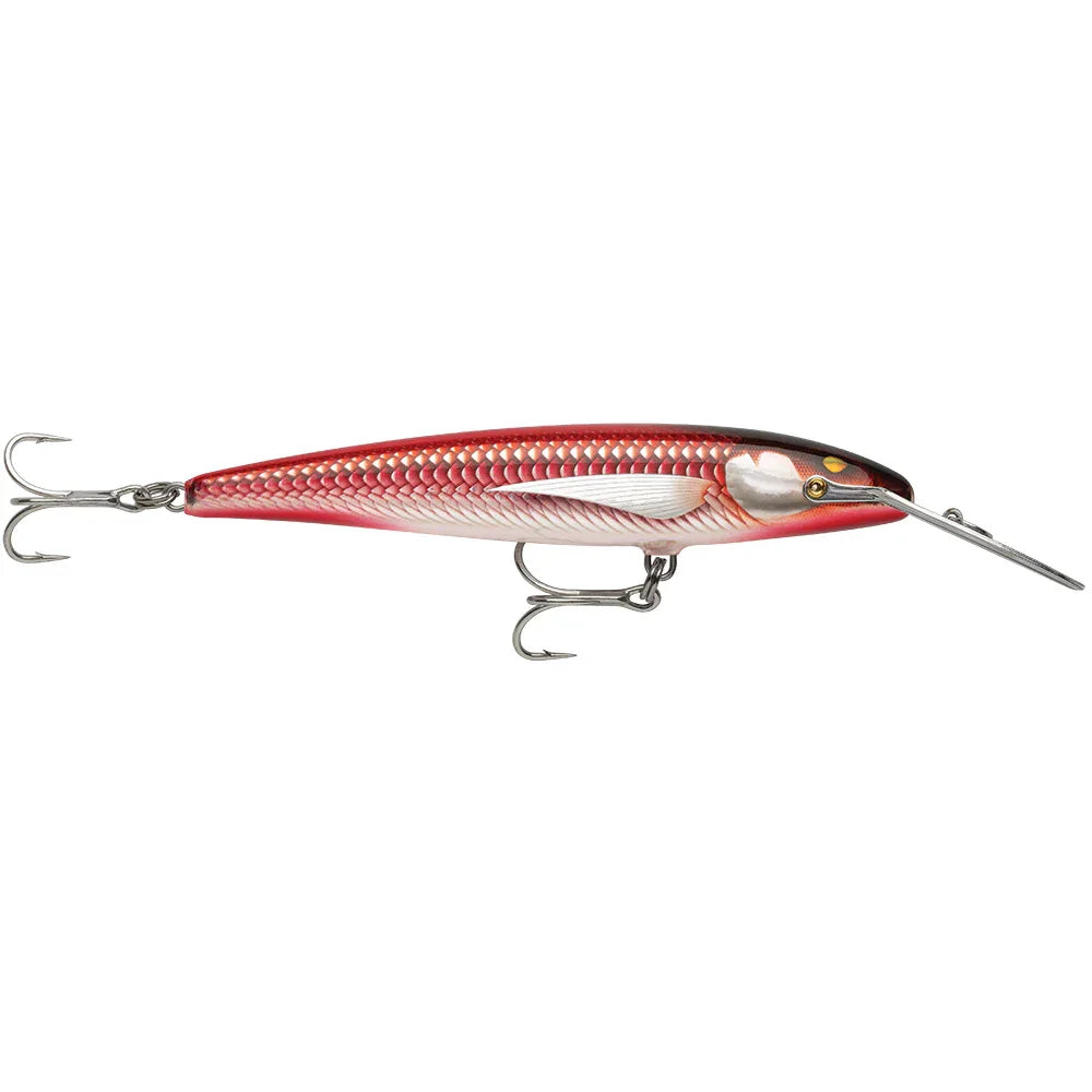Rapala CountDown Magnum Elite 145 - 5-3/4" - Armored Real Red Bait [CDMAGE145AMRRB] Rapala