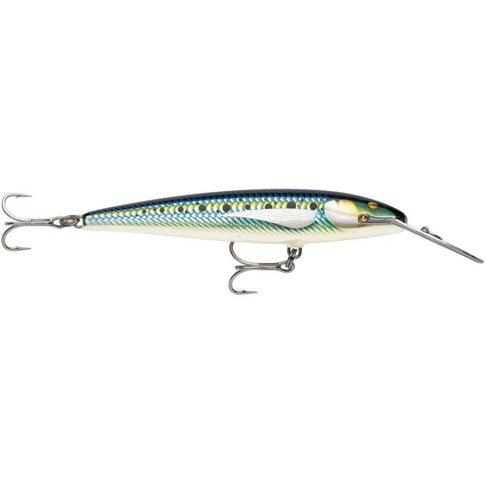 Rapala CountDown Magnum Elite 145 - 5-3/4" - Armored Sardine [CDMAGE145AMSRD] Rapala