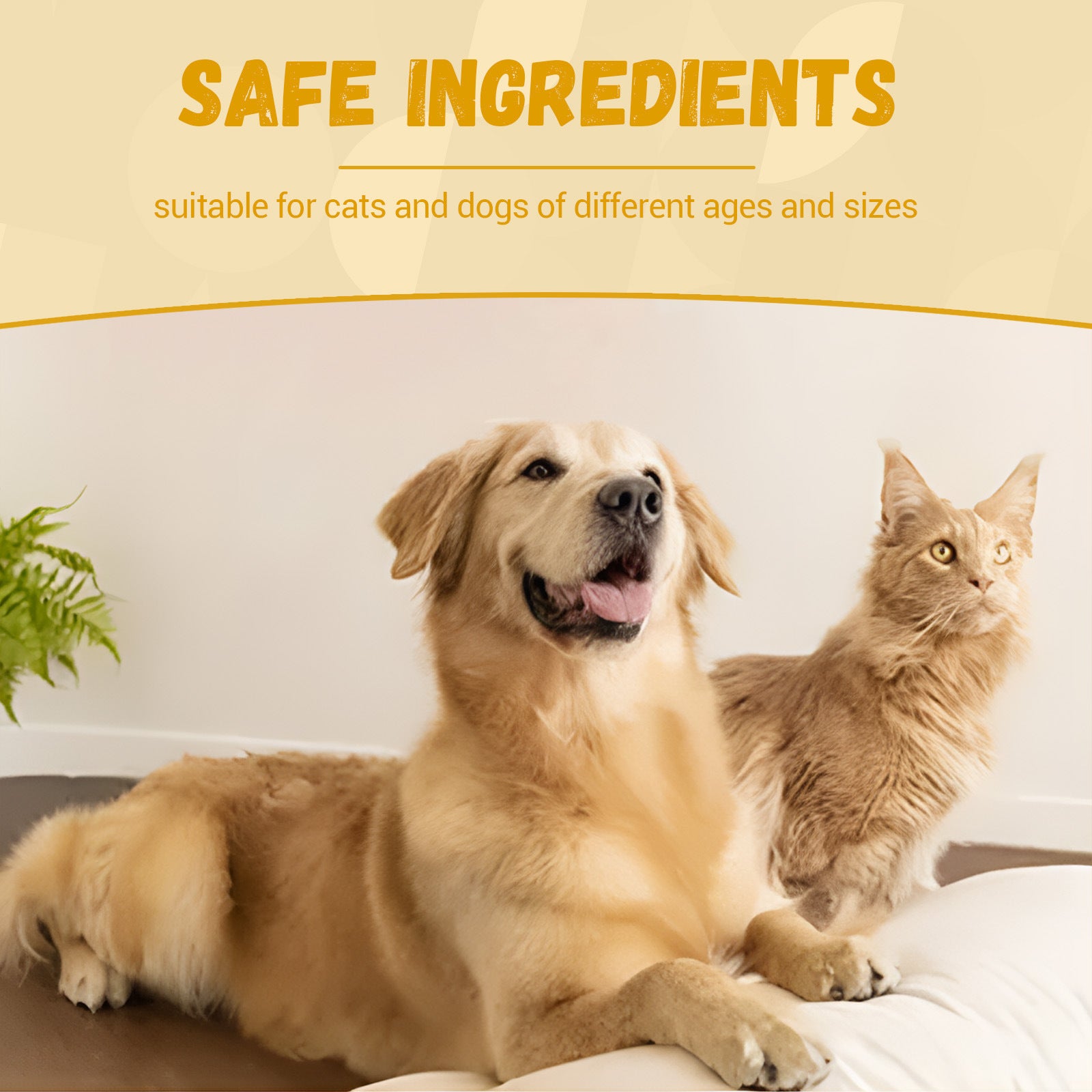 Pet Nutritional Supplements Enhance Energy Vitality - Besafe1st® 