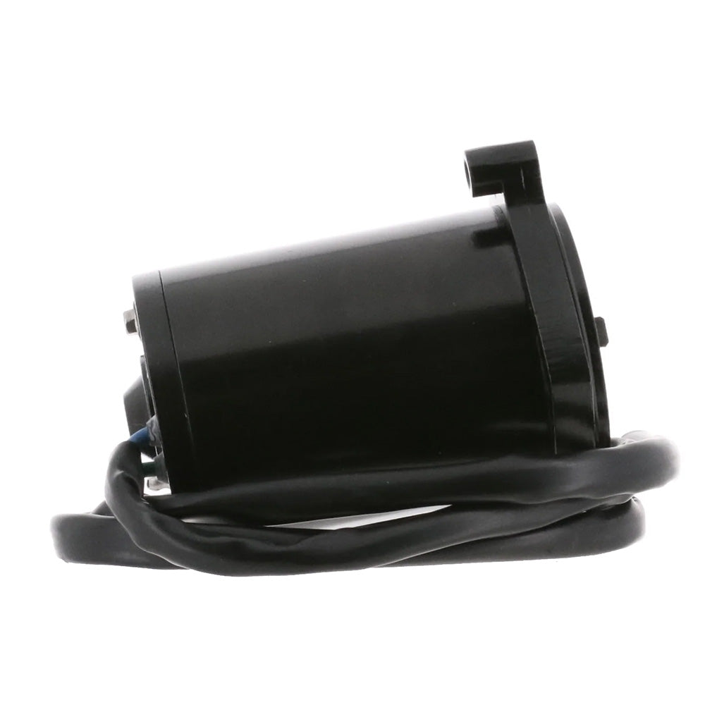 ARCO Marine Replacement Outboard Tilt Trim Motor - Late Model Mercury, 2-Wire [6250] - Besafe1st