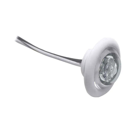 Innovative Lighting LED Bulkhead/Livewell Light "The Shortie" White LED w/ White Grommet [011-5540-7] - Besafe1st