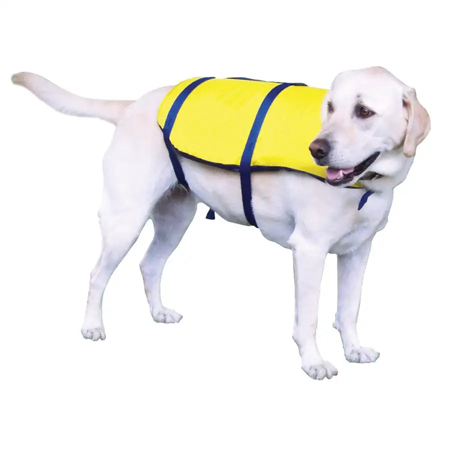 Onyx Nylon Pet Vest - X-Small - Yellow [157000-300-010-12] - Premium Pet Accessories  Shop now at Besafe1st®