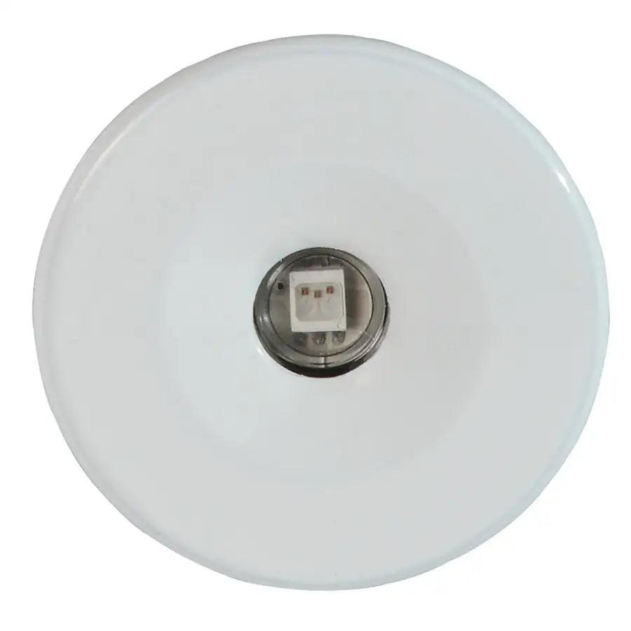 Lumitec Echo Courtesy Light - White Housing - White Light [112223] - Besafe1st® 