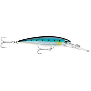 Rapala X-Rap Magnum 15 Blue Sardine [XRMAG15BSRD] - Besafe1st