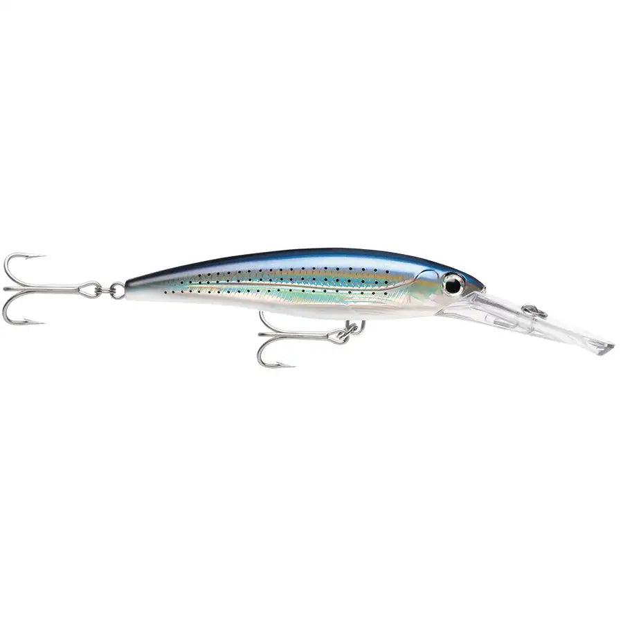 Rapala X-Rap Magnum 15 Spotted Minnow [XRMAG15SPM] - Besafe1st® 